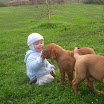 godsend 16meses.jpg 006.jpg