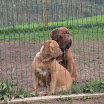 gallery diciembre2.09 022r.jpg