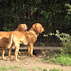 gallery agosto 2.jpg 028r.jpg