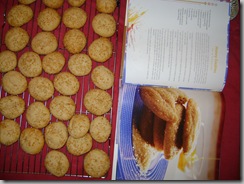 Honey cookies - picture perfect!