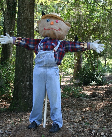  فزاعات طريفة للحديقة! - Scarecrows interesting for the garden! Maclay+Gardens+10-3-2010+016%5B7%5D