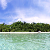 Sea 1