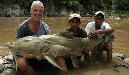 [Goonch catfish monster on the Indian river[4].jpg]