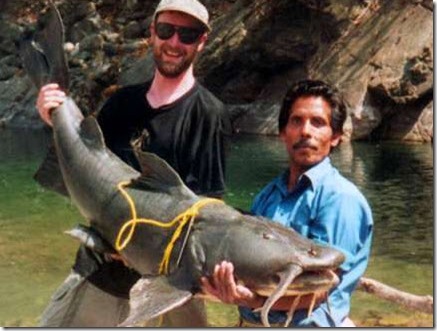 Goonch Catfish in Nepal Goonch Catfish in Nepal