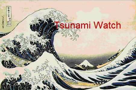 [Hawaii Under Tsunami Watch[3].png]
