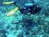 scuba