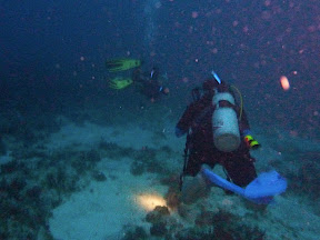 Dive at night