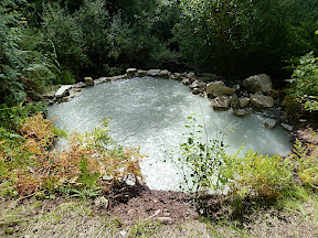 Geyser Spring