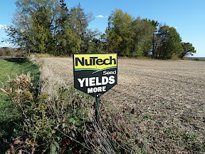 Corn Sign