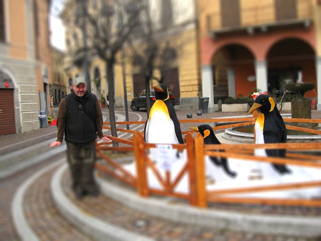 [IMG_2993-tiltshift[3].jpg]
