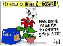 [NATALE2[3].jpg]