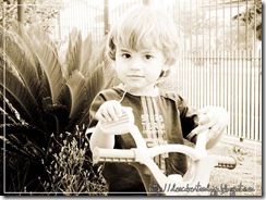Lindinho copy