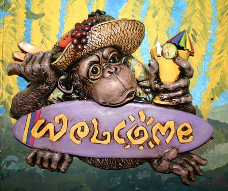 http://lh4.ggpht.com/_icyU1rE7RMY/SzT1IWnKcUI/AAAAAAAAETY/fyKW90iSnDQ/AdvSuitesWelcomeMonkey87w.jpg
