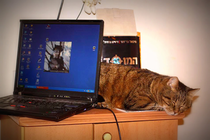 Мой обычный день