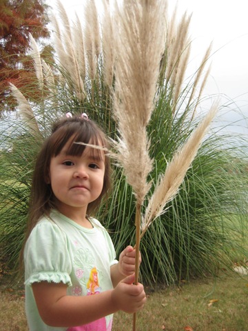 [IMG_21142.jpg]