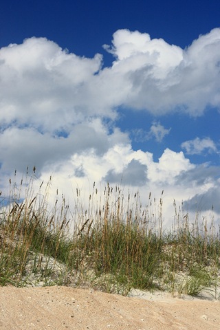 [Beach2283.jpg]