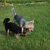 DSC_1118.jpg DSC_1118.jpg