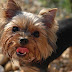 DSC_1131.jpg DSC_1131.jpg