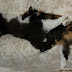 DSC_5891.jpg