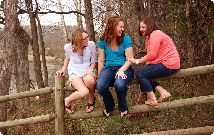 fencesitting2