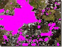 edmosaic edmosaic