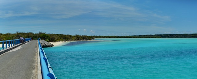 [P1140037[4].jpg]