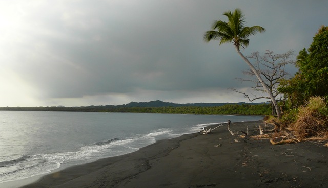 [P11208144.jpg]
