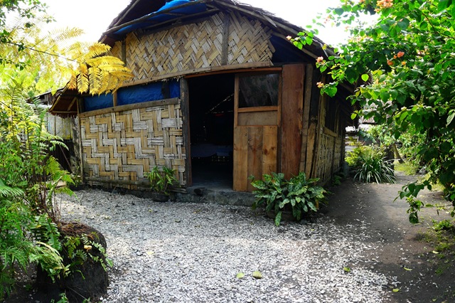 [P11208874.jpg]