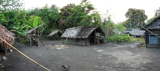 [P11208384.jpg]