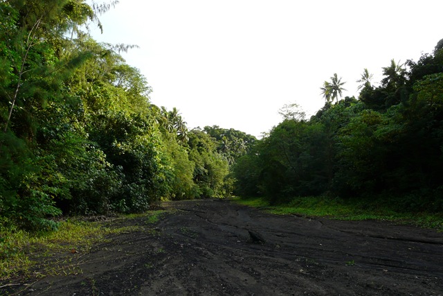 [P11208644.jpg]
