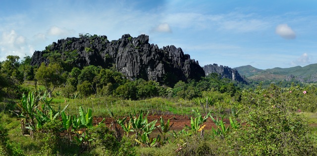 [P1130732[2].jpg]
