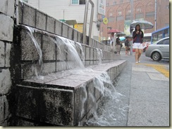 IMG_1692 IMG_1692