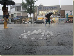 IMG_1695 IMG_1695