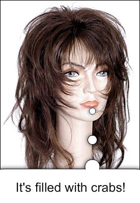 [wig.jpg]