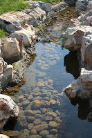 IMG_0078.JPG