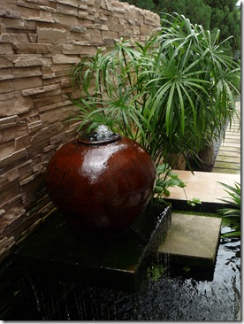 Umbrella PlantCyperus Alternifolius for koi pond water feature