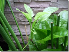 Photo0037