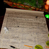 IMG_5555.jpg