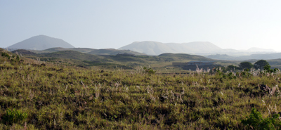 Part of Kohala Mountain