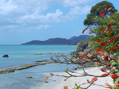 Modern day sea glass washes up here