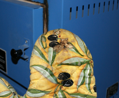 Oven mitt with evidence of fire from Kiln heat
