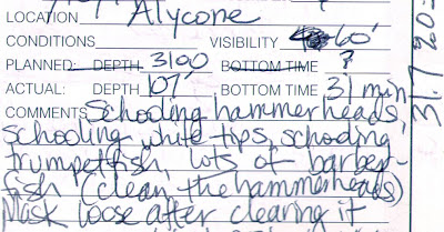 Dive log entry: Alcyone