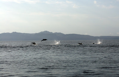 Jumping and Traveling Along