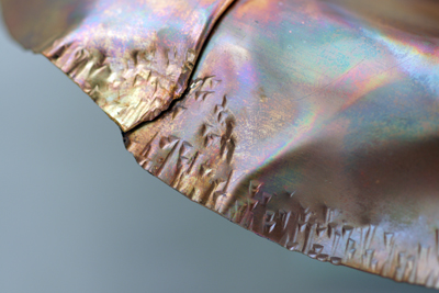 Edge detail The Earth is Our Ashtray Ashtray by Sherry Cordova Copper ashtray edge detail: grass and plants trying to take root