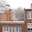 Its a snow storm!