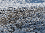 P1000856.JPG