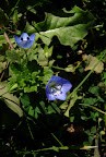 P1000824.JPG
