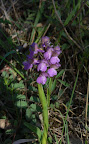 P1090002.JPG