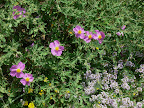 P1090050.JPG