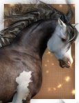 daz paint horse thumbnail Millennium Horse textures